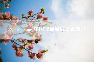 东莞中国冠军品牌是真的吗