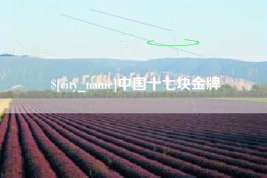 东莞中国十七块金牌