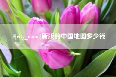 东莞新版的中国地图多少钱