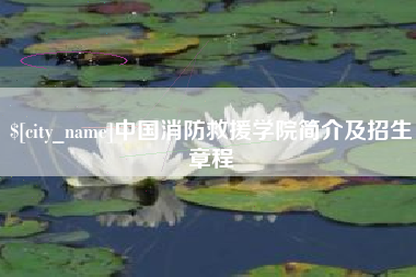 东莞中国消防救援学院简介及招生章程