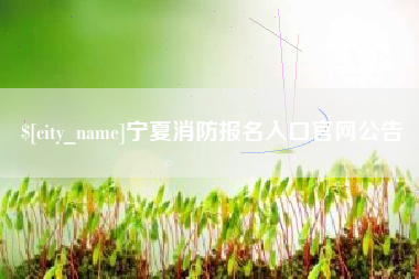 东莞宁夏消防报名入口官网公告