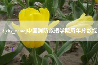 东莞中国消防救援学院历年分数线