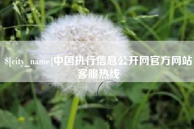 东莞中国执行信息公开网官方网站客服热线