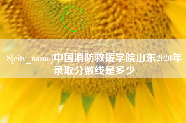 东莞中国消防救援学院山东2020年录取分数线是多少