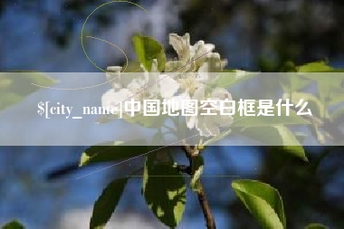 东莞中国地图空白框是什么