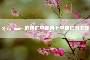 东莞消防证查询网上查询官网下载