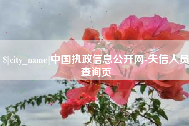 东莞中国执政信息公开网-失信人员查询页