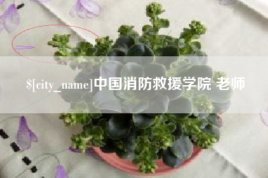 东莞中国消防救援学院 老师