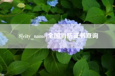 东莞全国消防证书查询