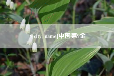 东莞中国第9金