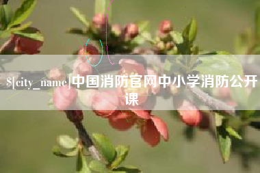东莞中国消防官网中小学消防公开课