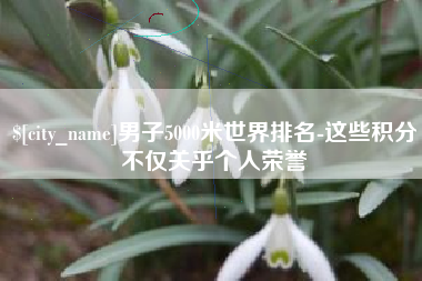 东莞男子5000米世界排名-这些积分不仅关乎个人荣誉