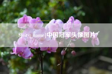 东莞中国冠军头像图片