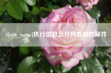 东莞执行信息公开网查到的案件