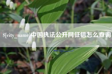 东莞中国执法公开网征信怎么查询