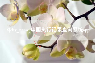 东莞中国执行记录查询系统app