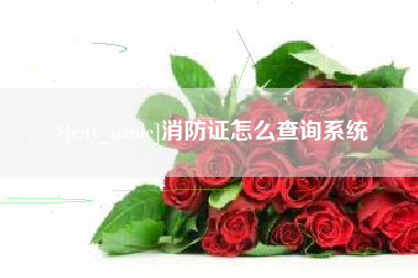 东莞消防证怎么查询系统