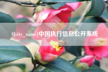 东莞中国执行信息公开系统