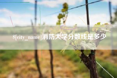 东莞消防大学分数线是多少