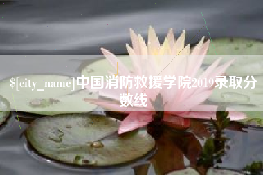 东莞中国消防救援学院2019录取分数线