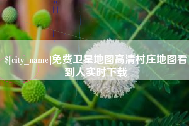 东莞免费卫星地图高清村庄地图看到人实时下载