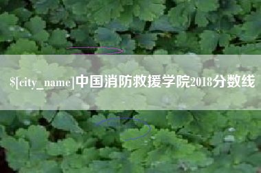 东莞中国消防救援学院2018分数线