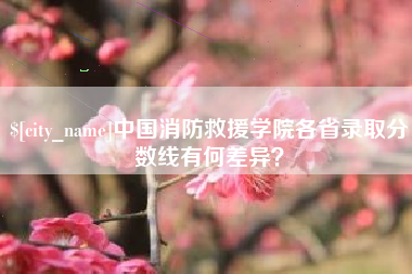 东莞中国消防救援学院各省录取分数线有何差异？