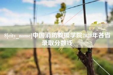 东莞中国消防救援学院2020年各省录取分数线