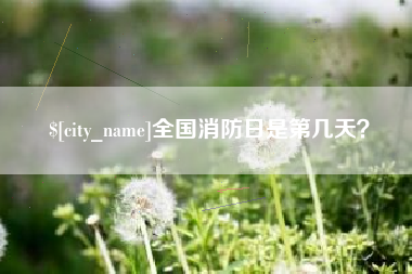 东莞全国消防日是第几天？