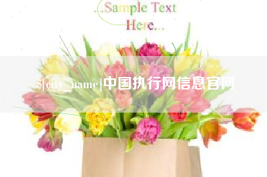 东莞中国执行网信息官网