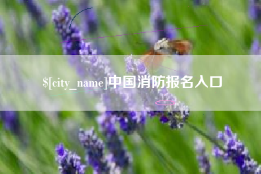 东莞中国消防报名入口