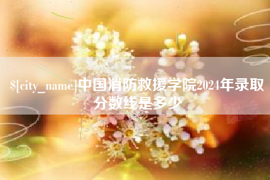 东莞中国消防救援学院2024年录取分数线是多少