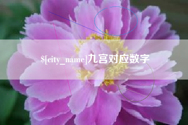 东莞九宫对应数字
