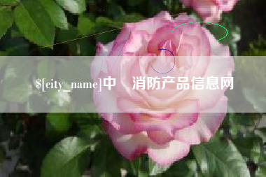 东莞中囯消防产品信息网