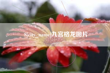 东莞九宫格龙图片