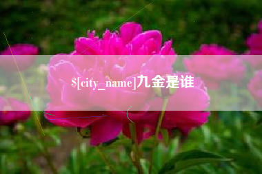 东莞九金是谁