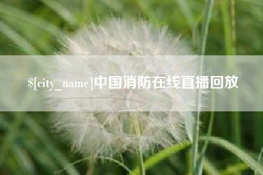 东莞中国消防在线直播回放
