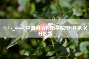 东莞中国消防救援学院2019年录取分数线