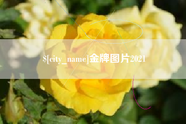 东莞金牌图片2021