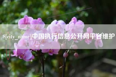 东莞中国执行信息公开网平台维护