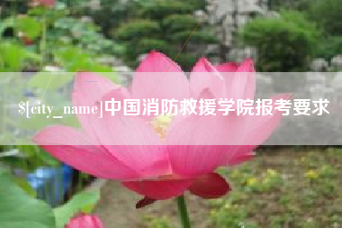 东莞中国消防救援学院报考要求