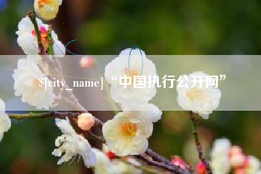 东莞“中国执行公开网”
