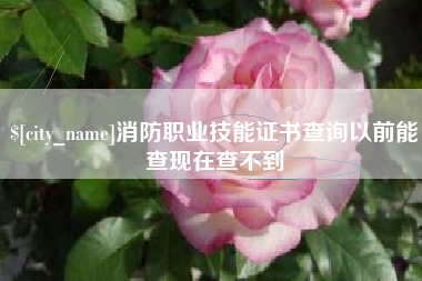 东莞消防职业技能证书查询以前能查现在查不到