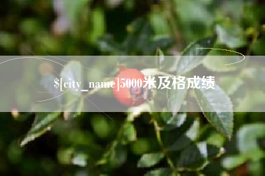 东莞5000米及格成绩