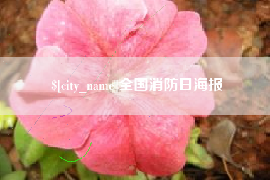 东莞全国消防日海报