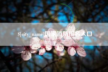 东莞国家消防报名入口