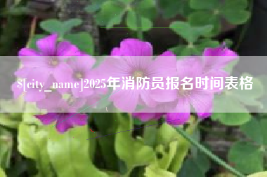 东莞2025年消防员报名时间表格