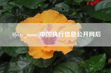 东莞中国执行信息公开网后