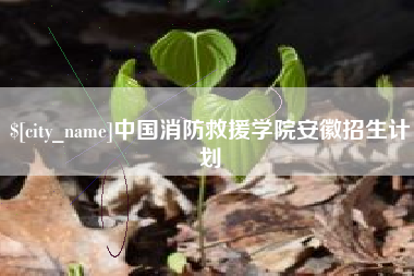 东莞中国消防救援学院安徽招生计划