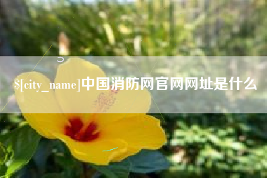 东莞中国消防网官网网址是什么